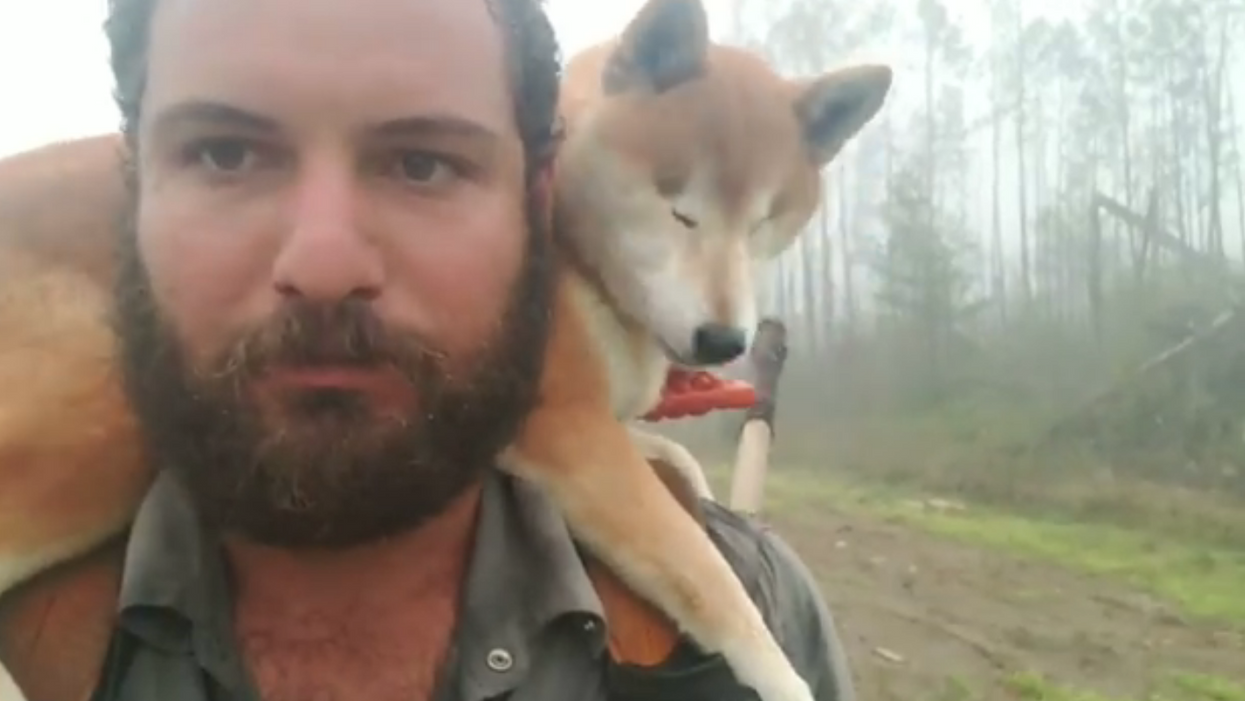 His dog went blind, but that didn’t stop him from finishing a 1,100-mile hike with her