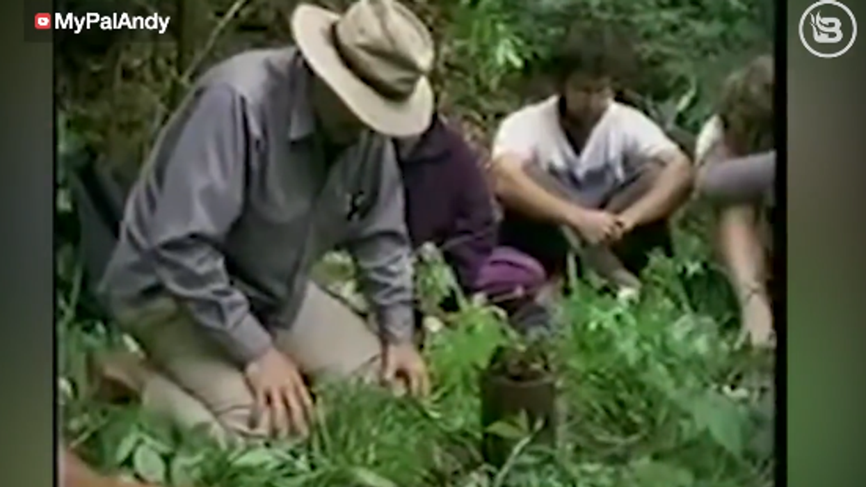 'Pat Gray Unleashed': Climate change therapy?