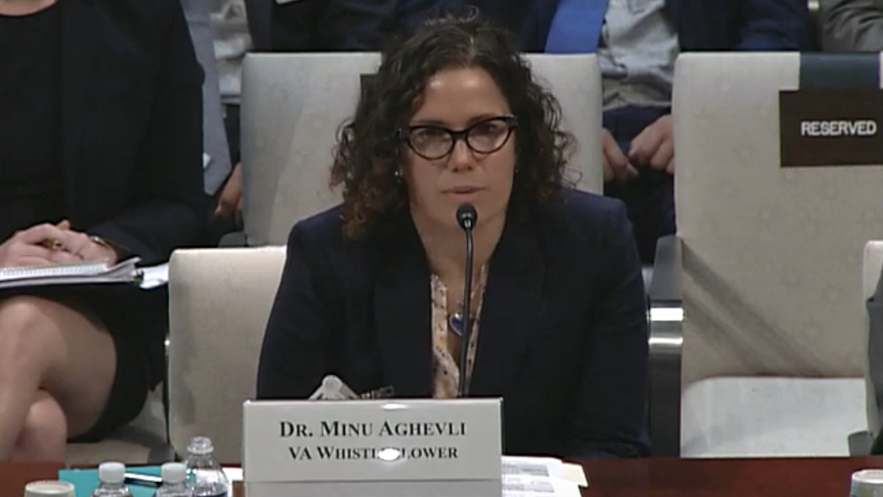 The VA told a whistleblower they were firing her the day before she was set to testify to Congress, she says