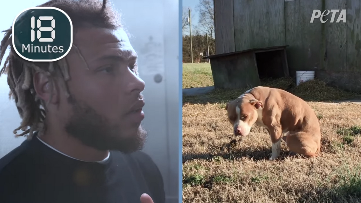NFL star Tyrann Mathieu tests how long he can last locked inside a freezer to raise awareness for pet safety