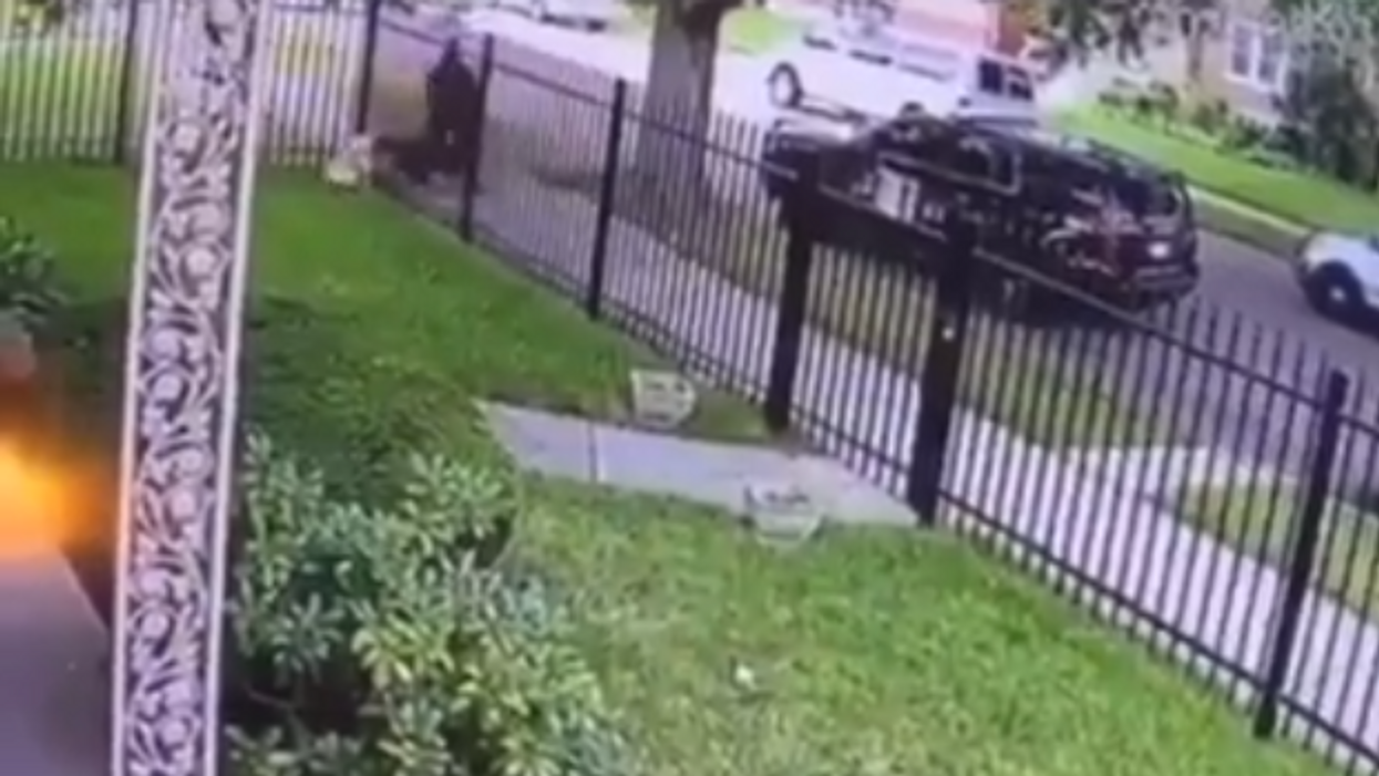 Police officer seen in shocking video fatally shooting dog in its own yard will not be reprimanded