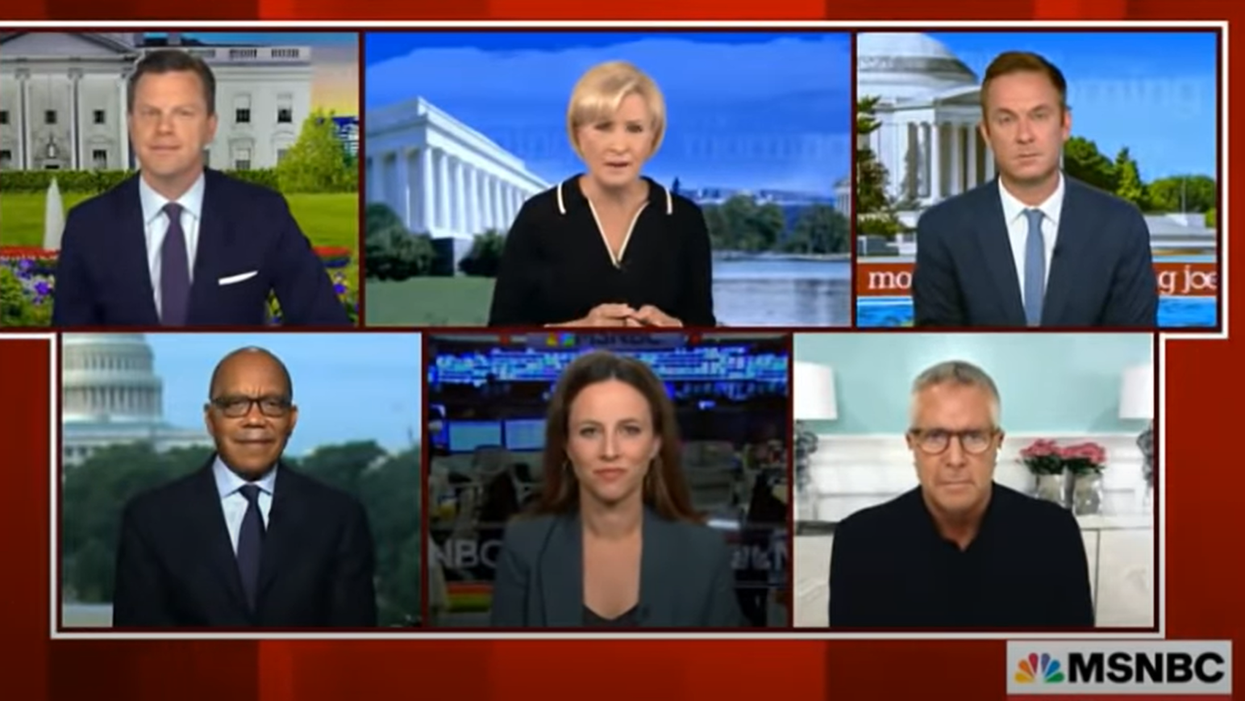 MSNBC contributor: 'There's an idiot percentage of this population that just needs to be told what to do'