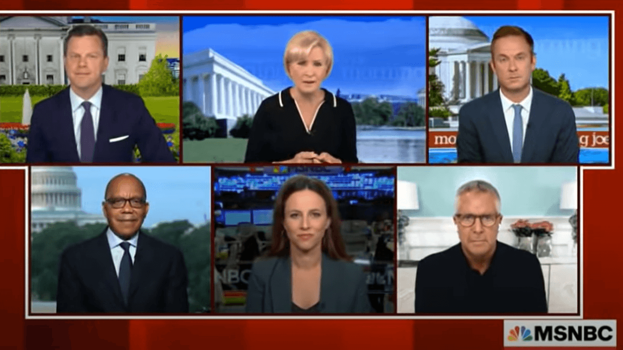 MSNBC contributor: 'There's an idiot percentage of this population that just needs to be told what to do'