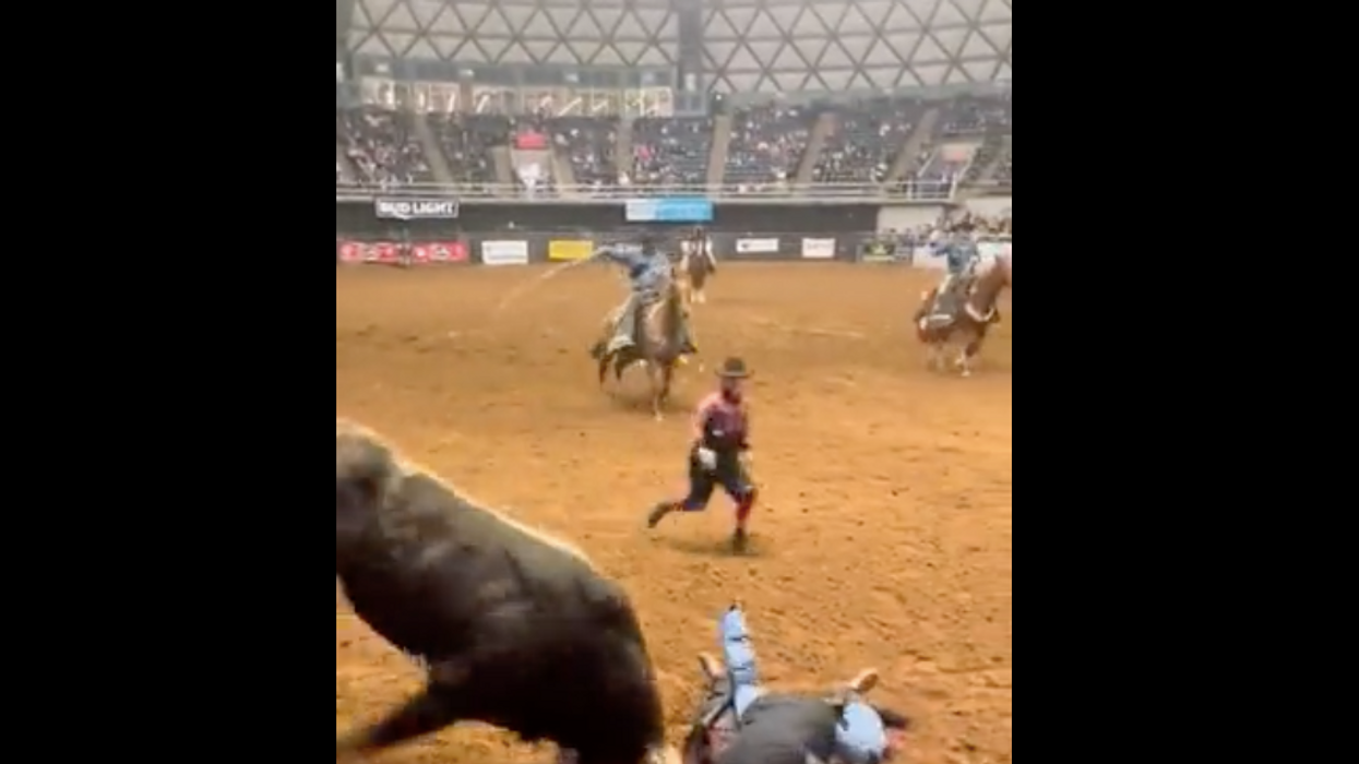Brave father jumps in arena, saves son from angry bull