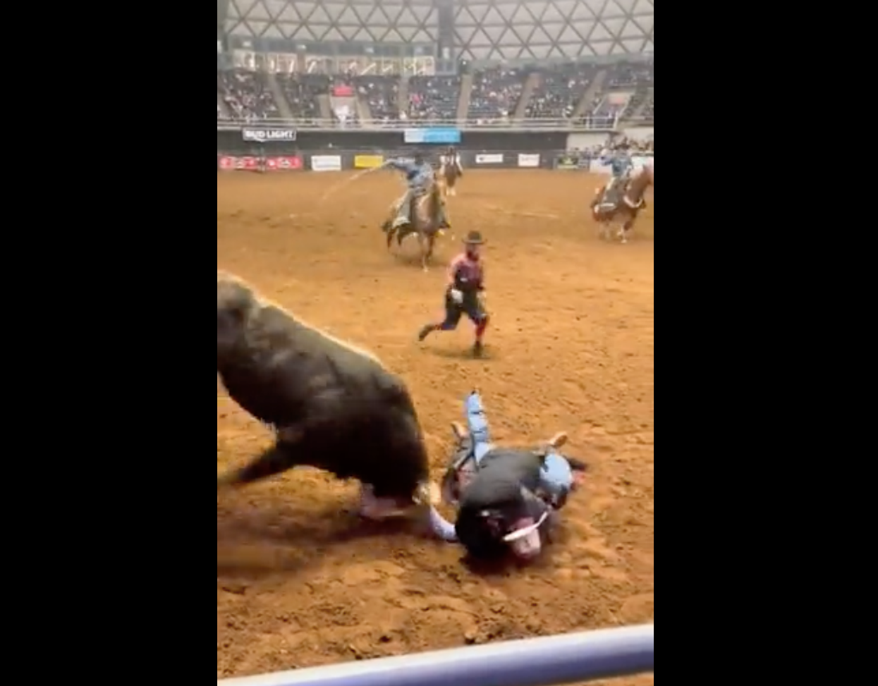 Brave father jumps in arena, saves son from angry bull