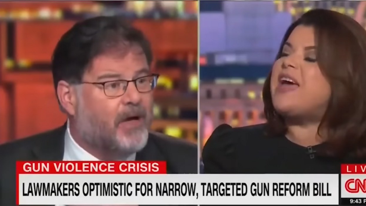 CNN's Ana Navarro FLIPS OUT when confronted with simple facts about gun violence