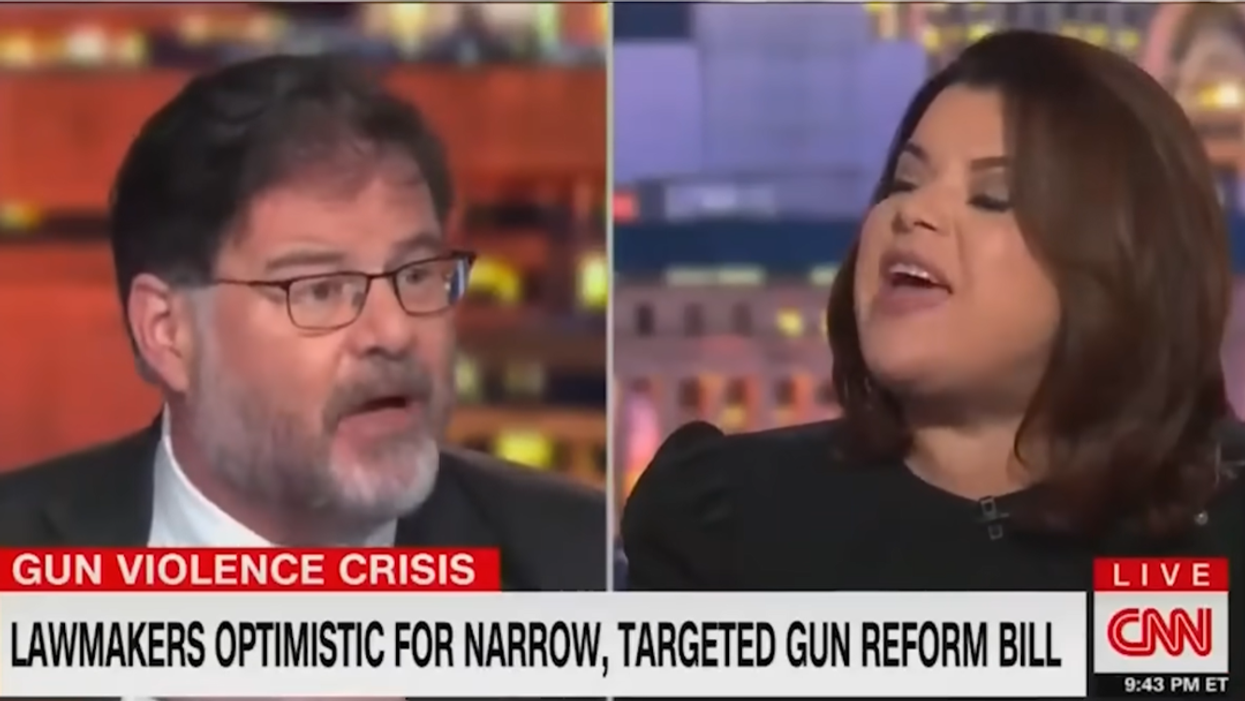 CNN's Ana Navarro FLIPS OUT when confronted with simple facts about gun violence