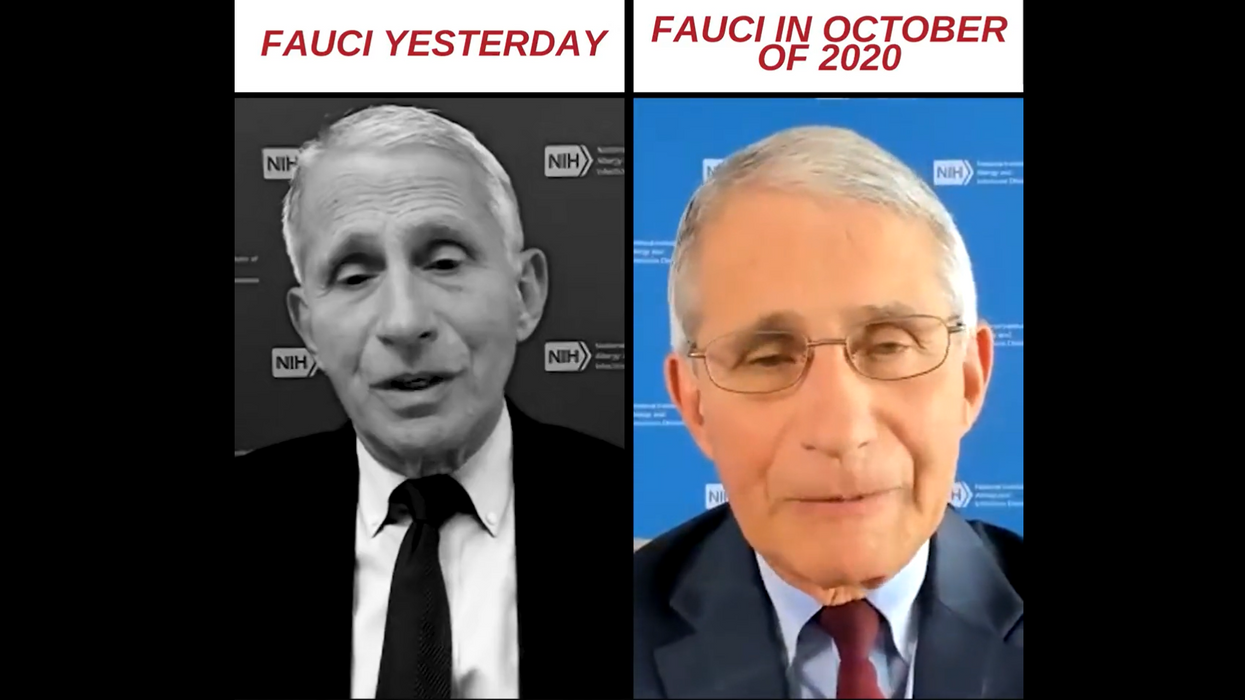 Fauci claims he 'didn't recommend locking anything down' over COVID — but the internet NEVER forgets