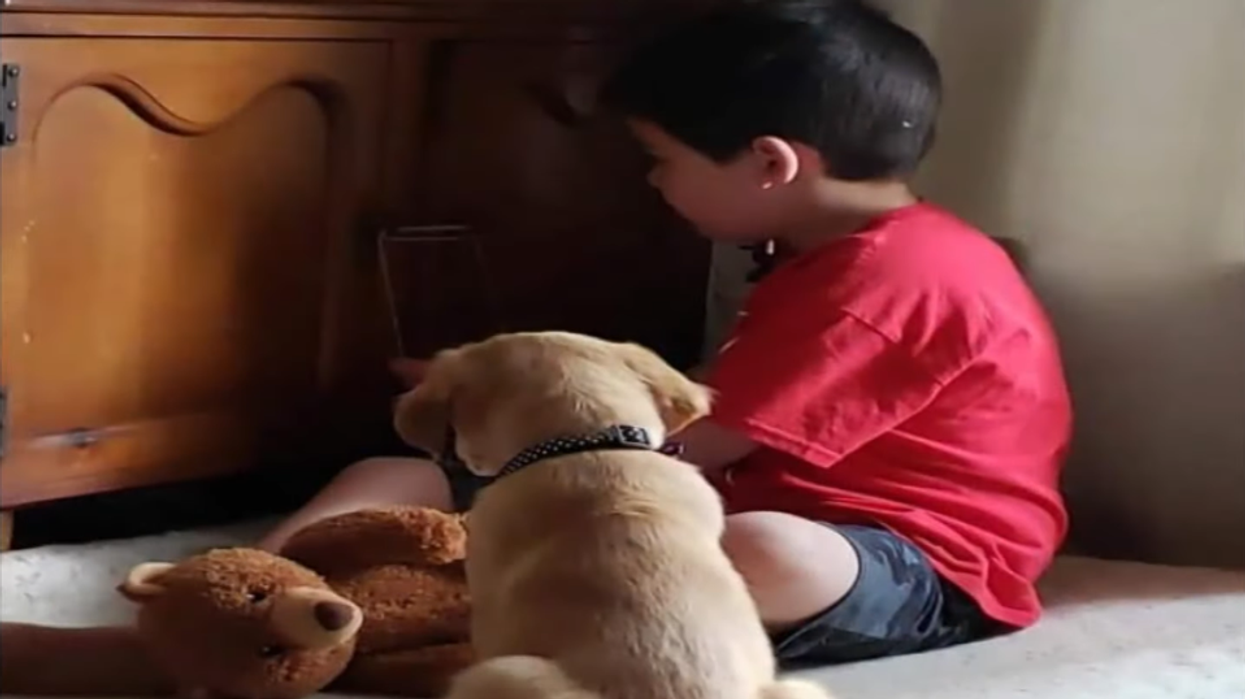 Family enjoys tearful reunion with golden retriever missing for 3 months in Colorado wilderness thanks to a dispatcher's brilliant idea