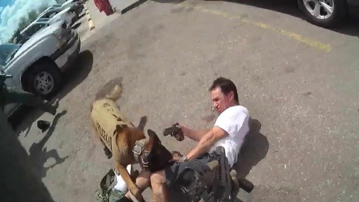 Gut-wrenching bodycam video shows SWAT officers fatally shoot suspect after he pointed loaded gun at police dog