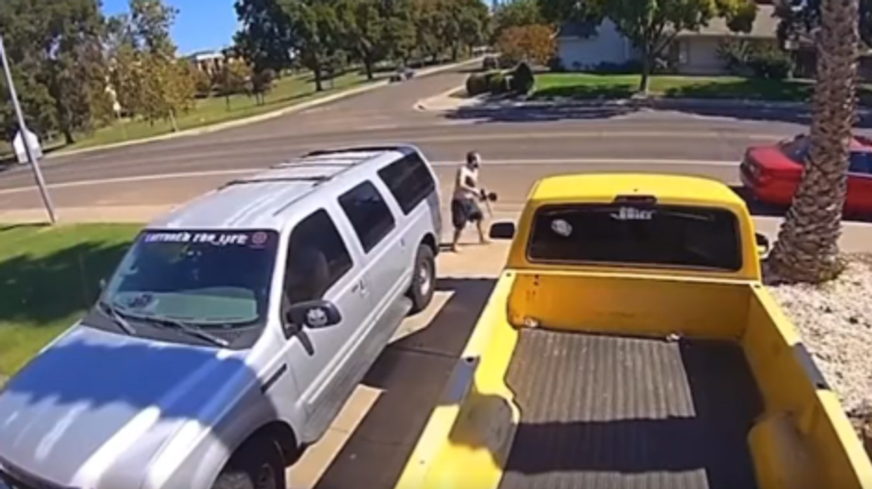 Watch a California family unleash a paintball barrage to thwart thieves from stealing catalytic converters from cars in their driveway