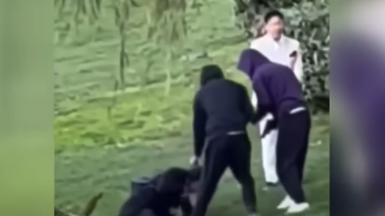 Video shows armed thugs targeting San Francisco engagement photoshoots, stealing camera equipment in broad daylight: 'The bride was crying the whole time'