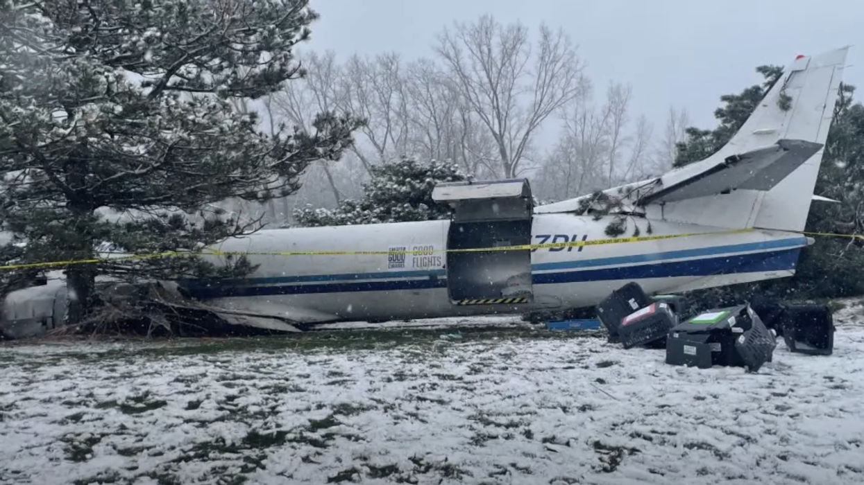 53 rescue dogs survive near catastrophic crash landing on golf course, first responders adopt 'miracle' canines