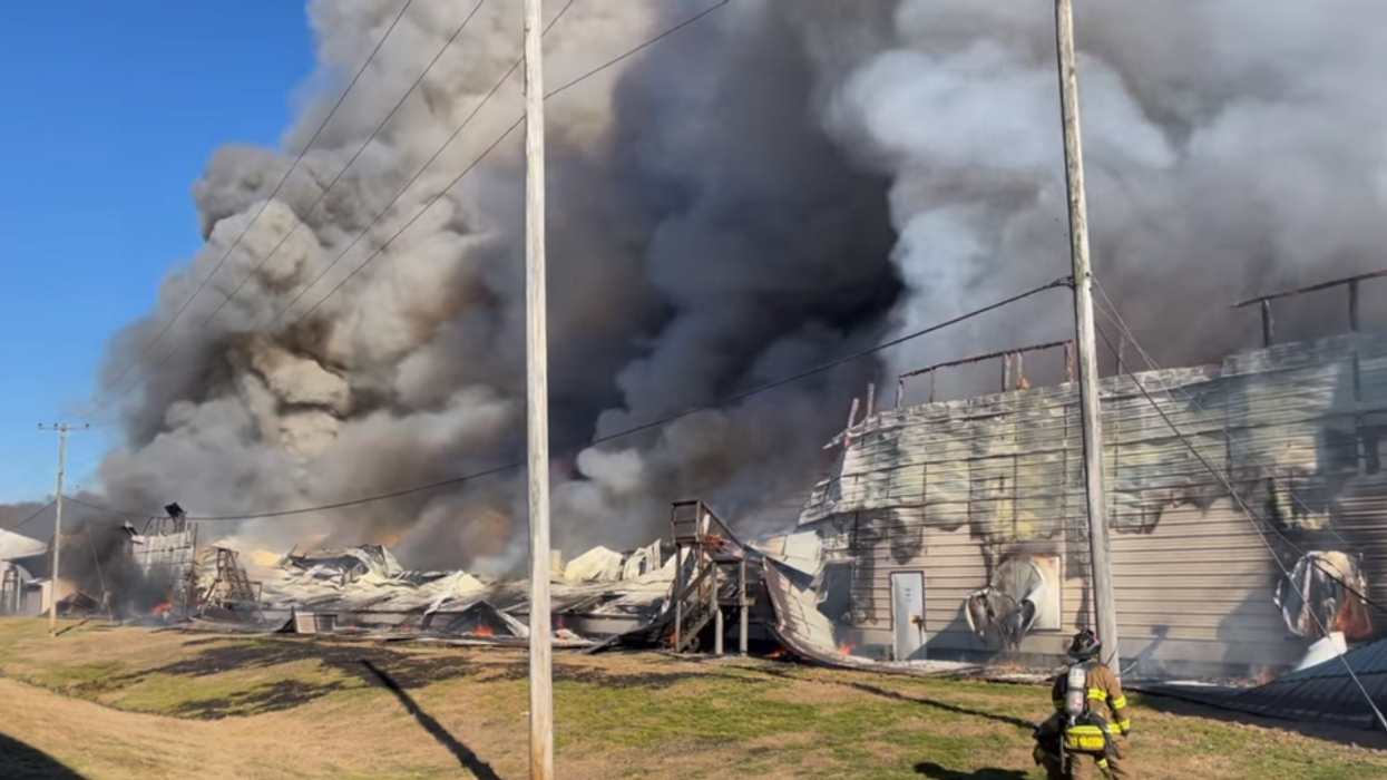 Third-biggest egg farm in US catches fire, 21 fire departments respond to huge blaze that likely killed thousands of chickens