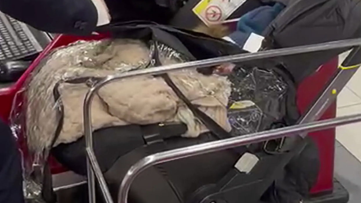 Parents abandon baby at Tel Aviv airport after failing to buy infant's ticket: 'We have never seen anything like that'