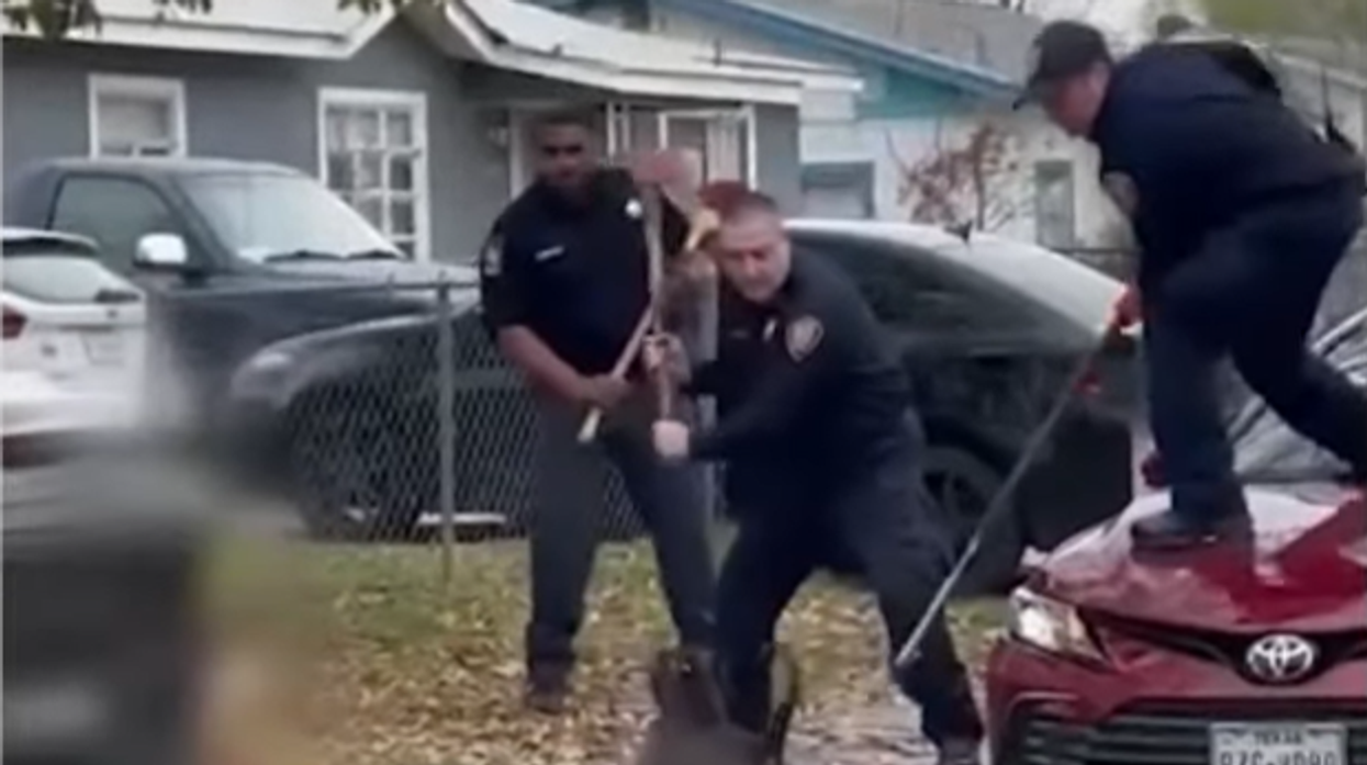 Elderly man mauled to death in 'horrific' dog attack that injured 3 others, firefighters used pickaxes to fend off dogs from victims