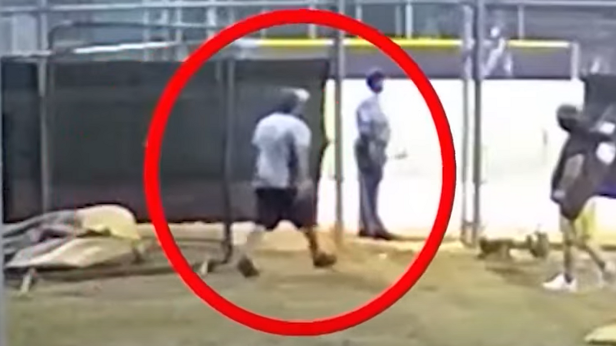 Video: Florida dad brutally sucker-punches, knocks out baseball umpire – a 63-year-old disabled military veteran