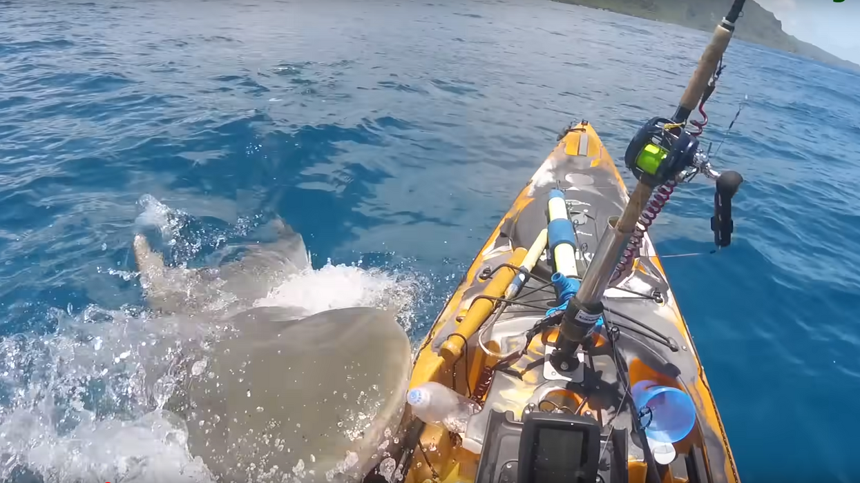 'Thank you Jesus!' Fisherman narrowly escapes kayak-chomping shark, accidentally captures viral video