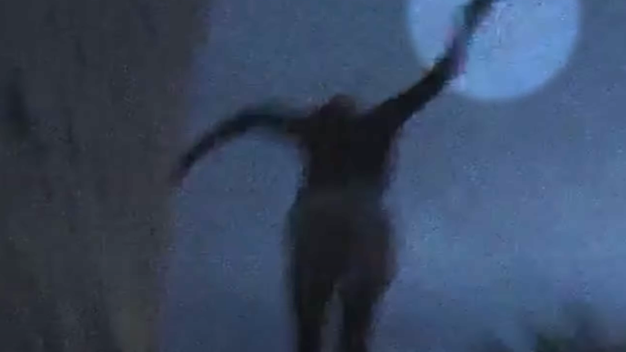 Jacksonville Sheriff's Office release bodycam video of police shooting armed man who fired gun while jumping from two-story apartment