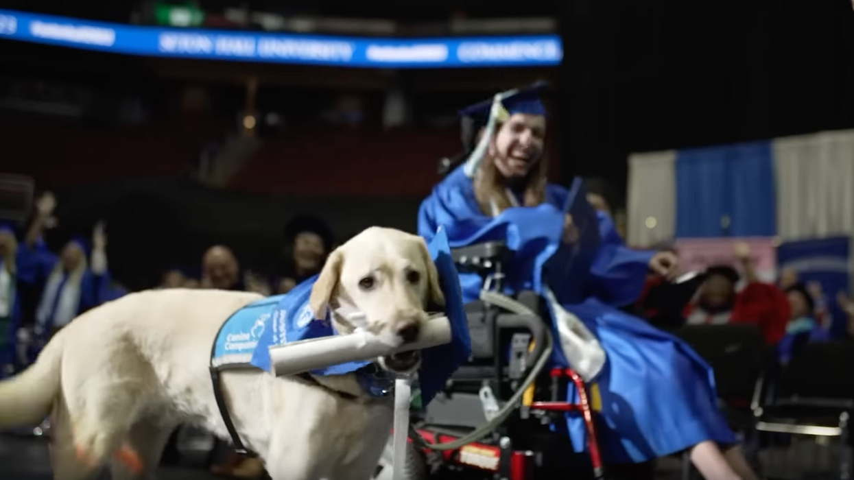 Video: Service dog receives diploma alongside Seton Hall University graduate; audience erupts in cheers