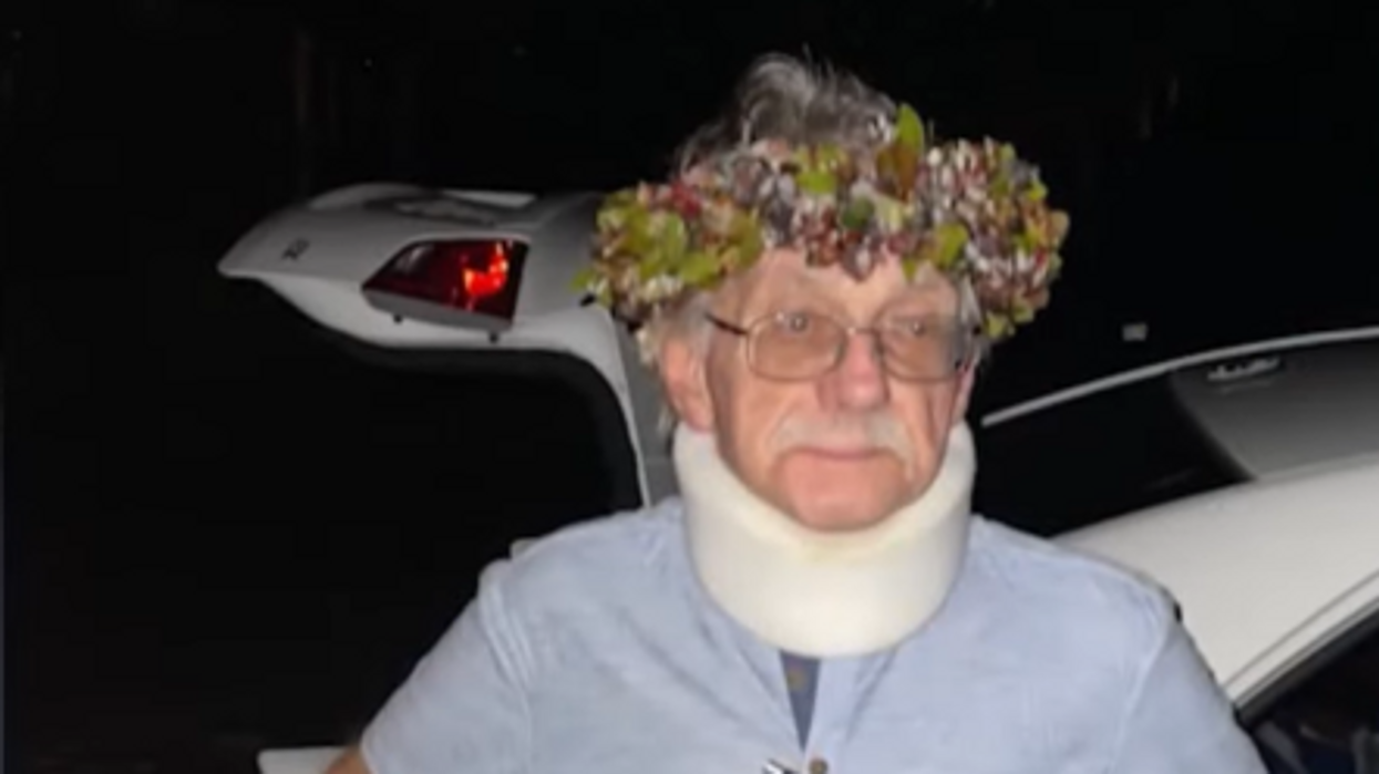 'Absolutely shocked and devastated': Elderly Hawaii man mauled to death by pack of dogs