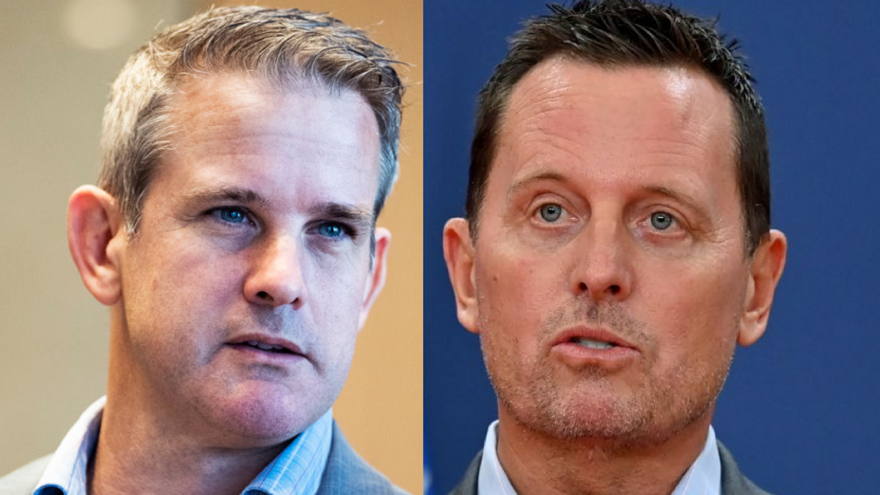 Richard Grenell warns people to be afraid of the government, then fires back at Adam Kinzinger for telling him to 'Shut up'