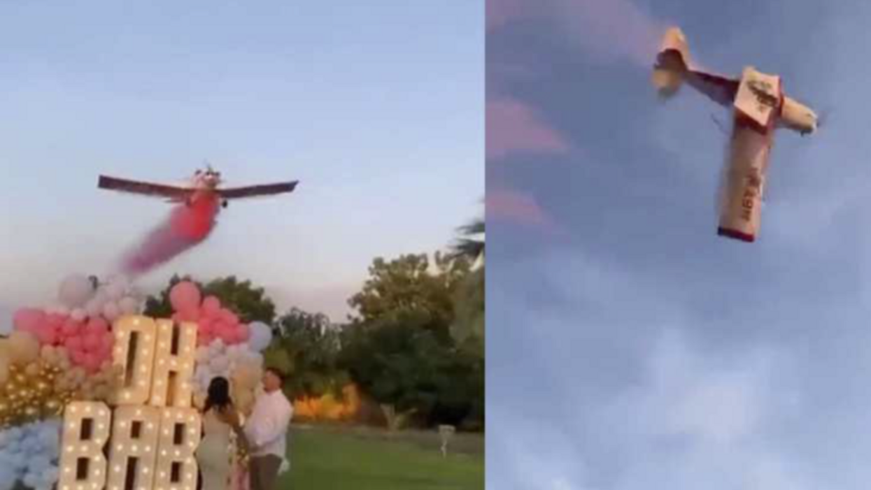 Tragic video shows gender reveal party ends in disaster as plane crashes in front of guests, pilot dies