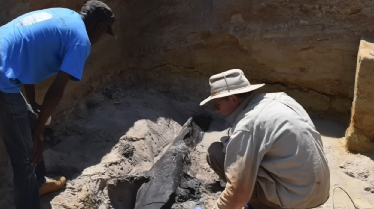 Archaeologists unearth world's oldest wooden structure, 'extraordinary' discovery said to be 476,000 years old