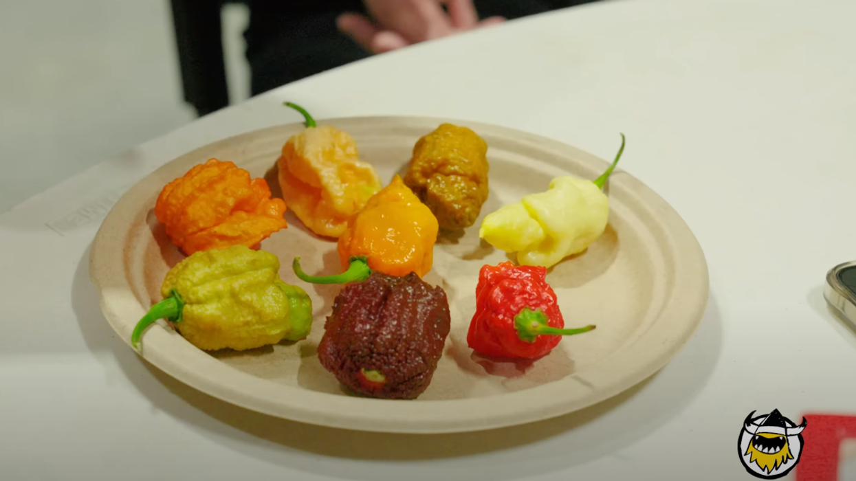 'Pepper X': Carolina Reaper inventor releases new world's hottest pepper that's 3x hotter — leaves him 'groaning in pain' for hours