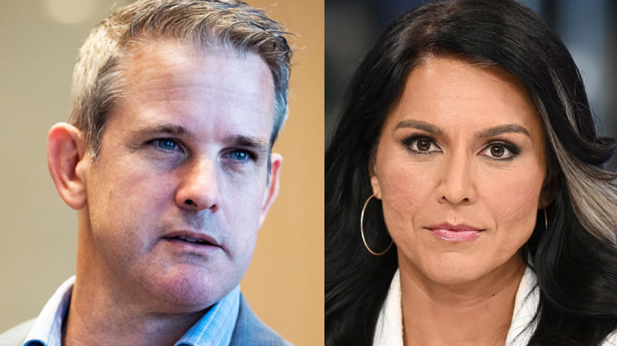 Adam Kinzinger calls Tulsi Gabbard 'crazy'