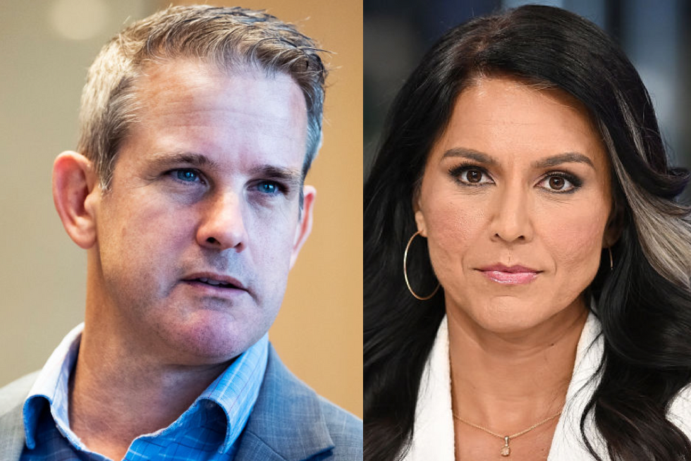 Adam Kinzinger calls Tulsi Gabbard 'crazy'