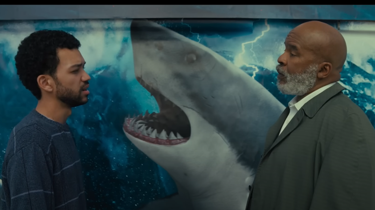 'The American Society of Magical Negroes' movie declares white people to be the 'most dangerous animal on the planet'