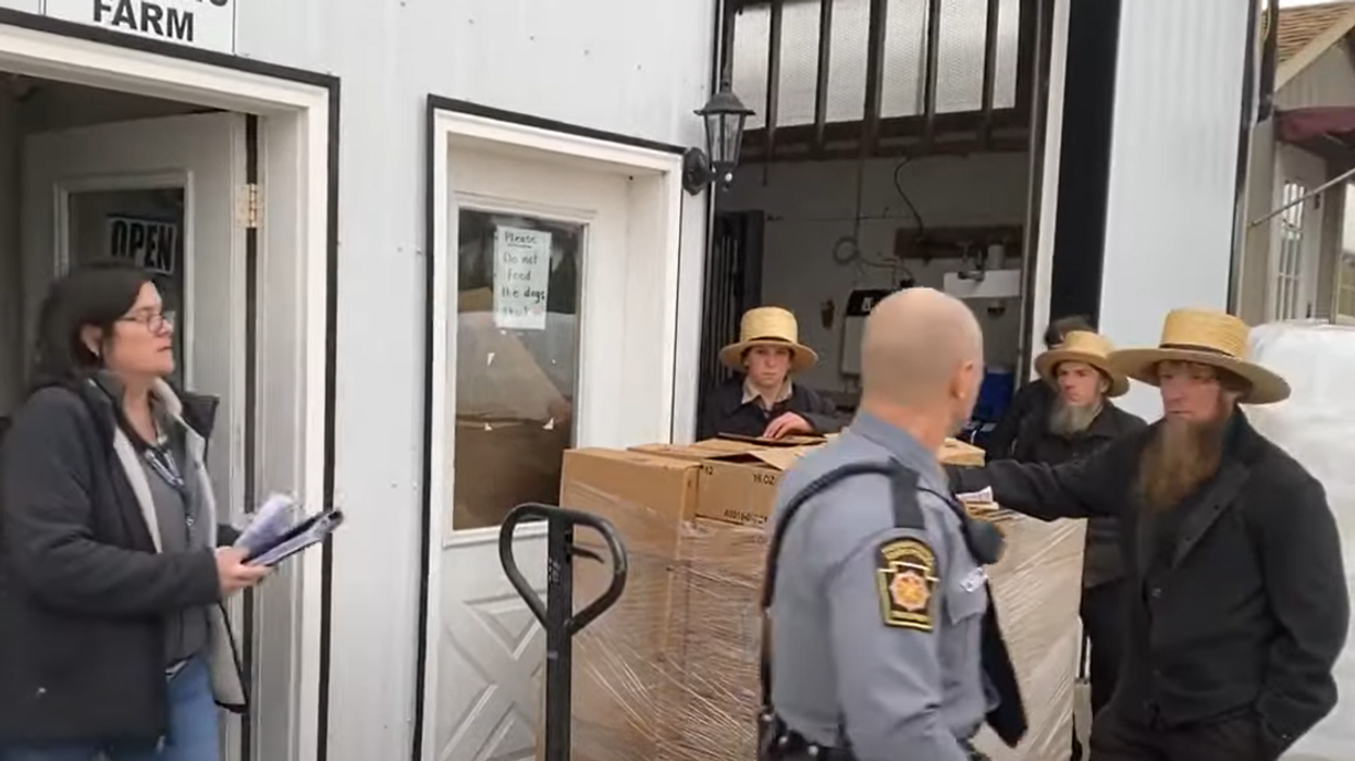 Government agencies execute raid on Amish farm previously scrutinized by feds, lawyer says seizure is 'patently illegal'