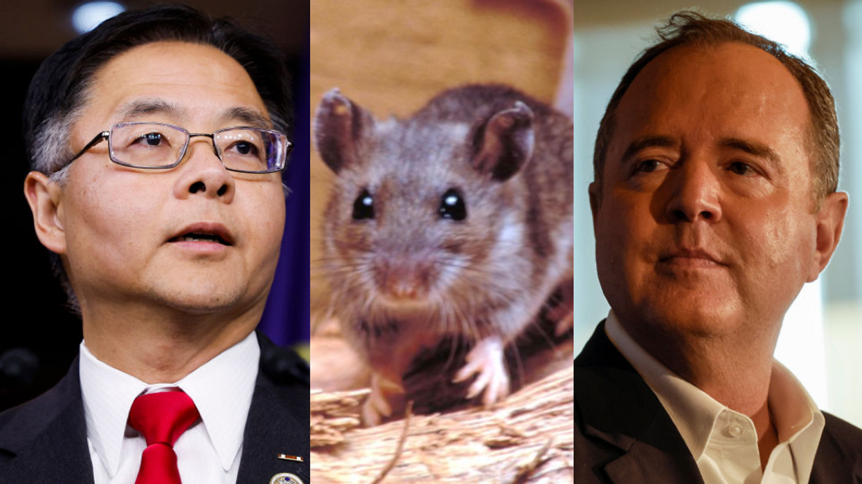 Reps. Ted Lieu and Adam Schiff want to ban rodent glue traps