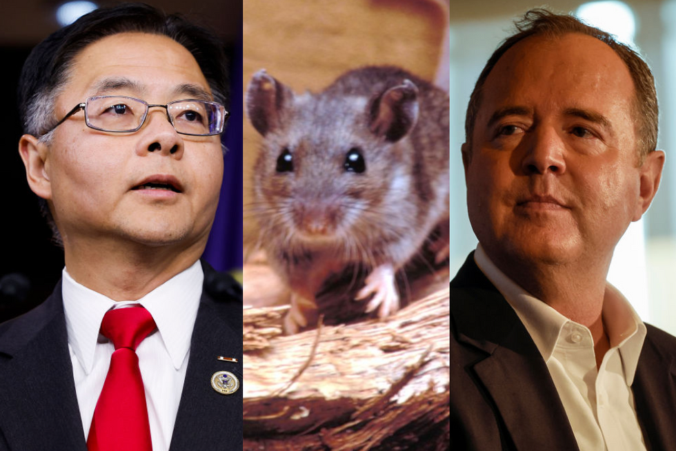 Reps. Ted Lieu and Adam Schiff want to ban rodent glue traps