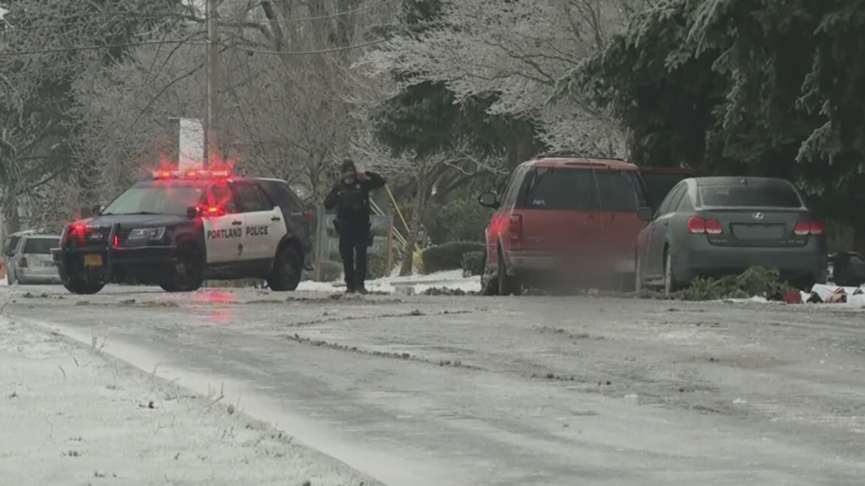 Father witnesses children electrocuted to death as power line falls on car, baby survives freak accident: 'It just hurts'