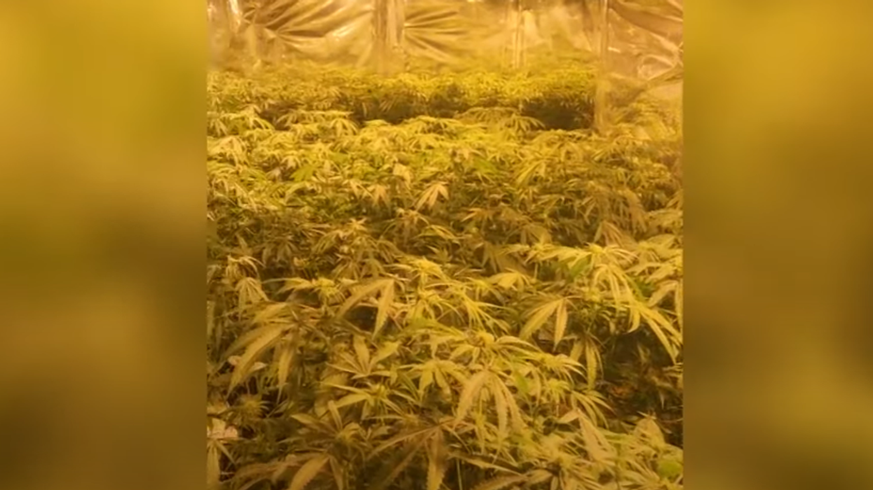 Residents in Maine thought there was a house fire, it ended up being a massive drug bust