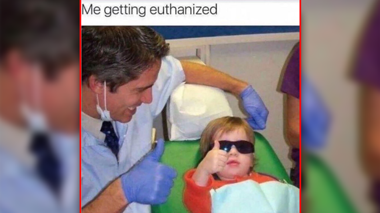 'This will be my last tweet': Dutch woman posts sarcastic meme before assisted suicide for 'Chronic Fatigue Syndrome'