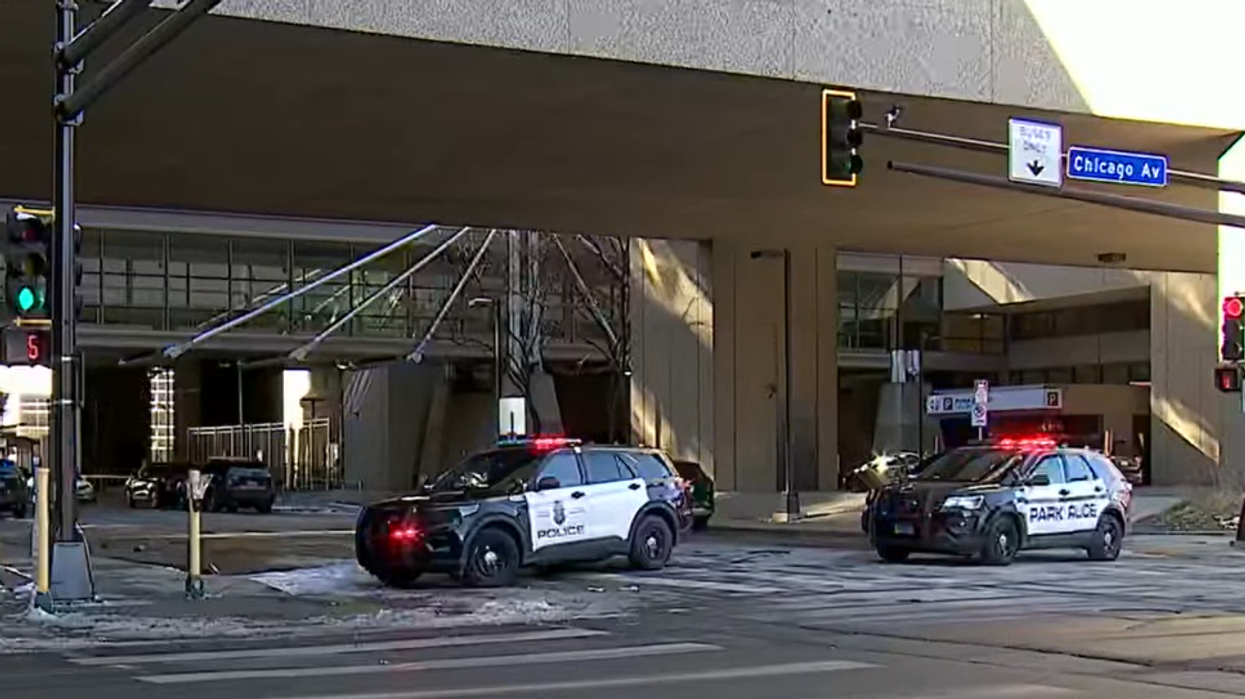 2 Minnesota police officers, paramedic shot dead while responding to domestic violence incident: 'Sickening and shocking'