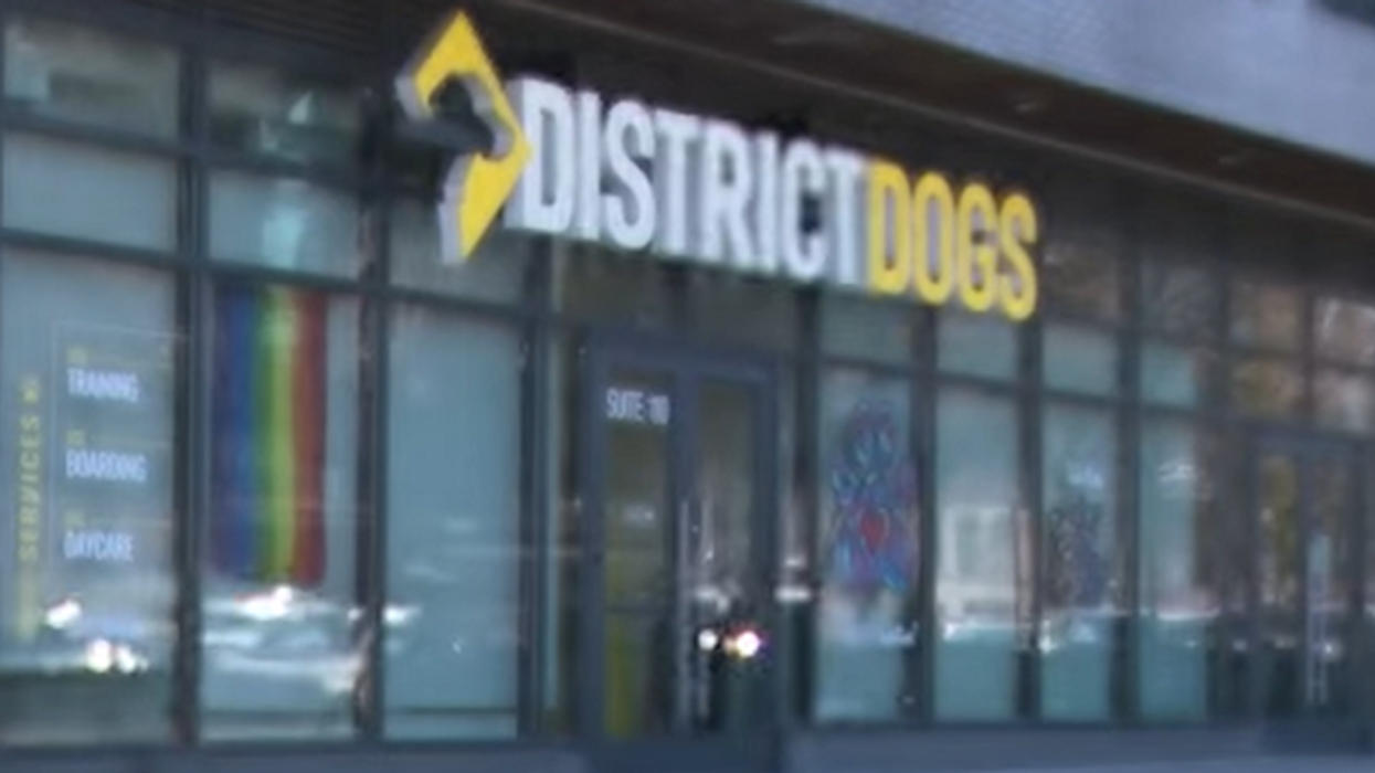 DC dog daycare employee kicked, killed puppy: 'Bronny brought immeasurable joy to our lives'