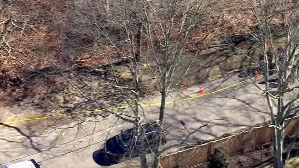 Girl found severed limb in Long Island park, then cops made several more gruesome discoveries, now probing if MS-13 is involved
