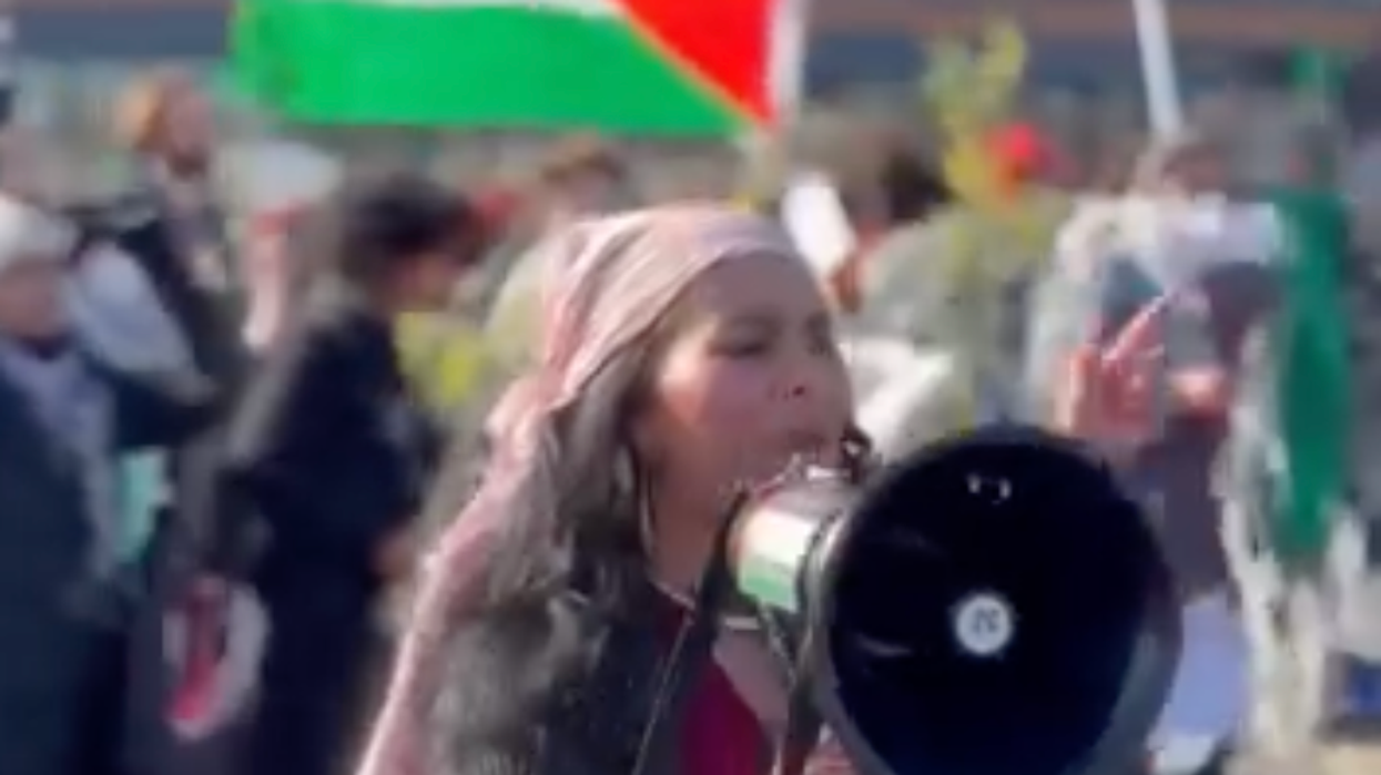 DEI worker sues University of Minnesota after she was fired for posing in front of an Israeli flag littered with swastikas