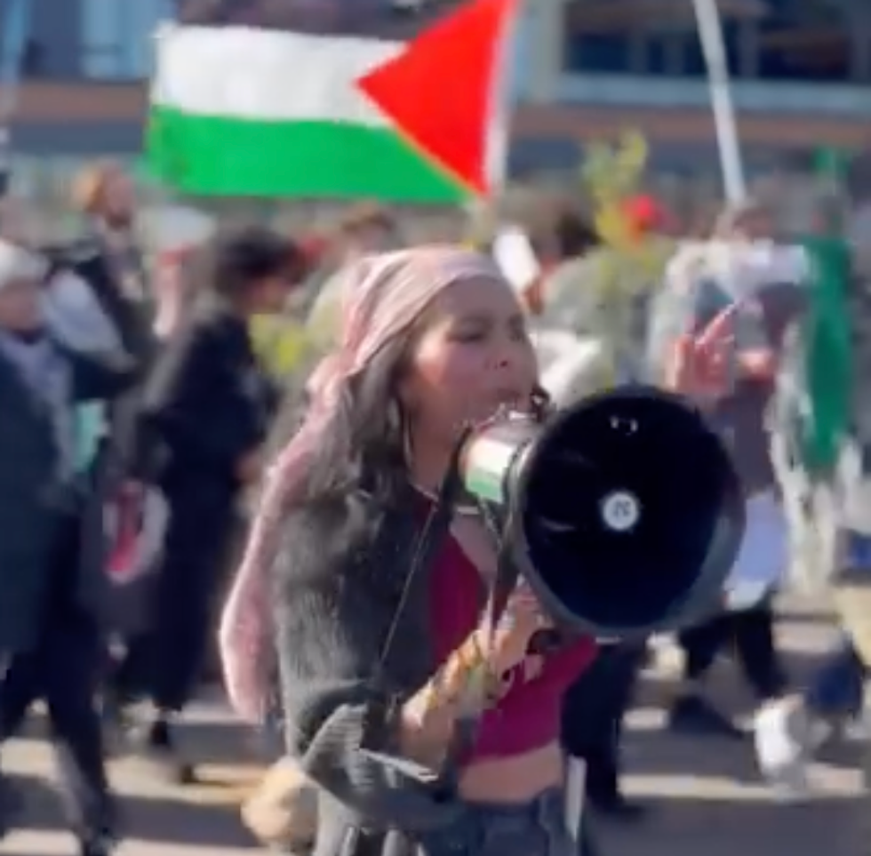 DEI worker sues University of Minnesota after she was fired for posing in front of an Israeli flag littered with swastikas