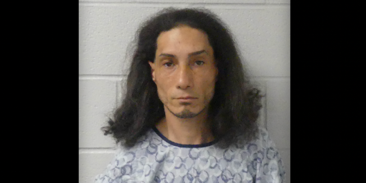Dad making delivery sees carjacker entering his vehicle — and his child also is inside car, cops say. Things soon get primal. Dad making delivery sees carjacker entering his vehicle — and his child also is inside car, cops say. Things soon get primal.