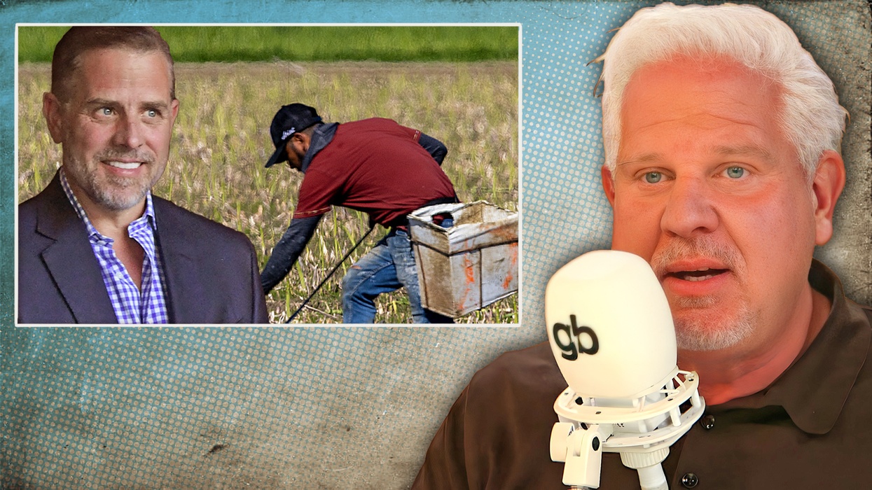 ‘Absolutely and completely bizarre’: New Hunter Biden interview going viral for weird defense of illegal immigration