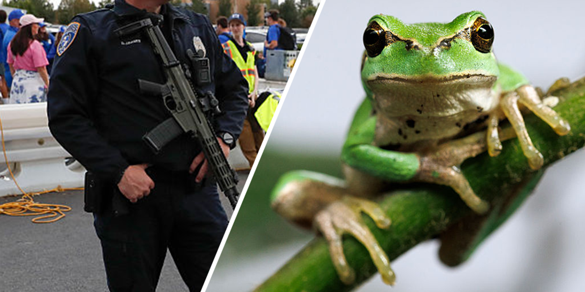 Utah police report claims officer shape-shifted into a frog
