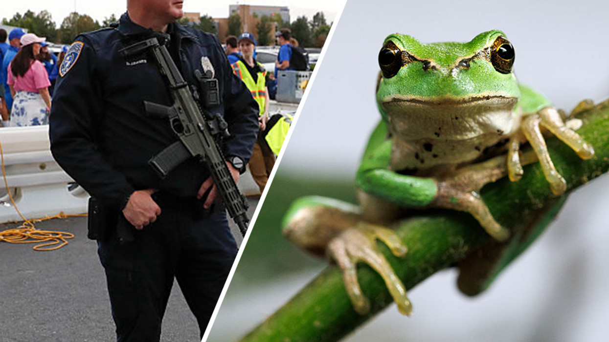 Utah police report claims officer shape-shifted into a frog