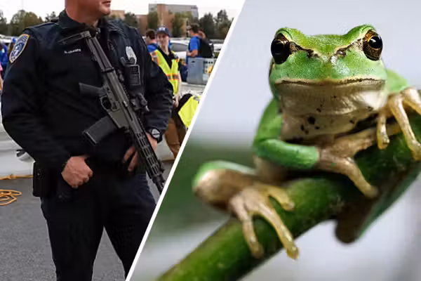 Utah police report claims officer shape-shifted into a frog