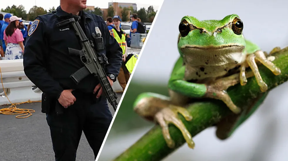 Utah police report claims officer shape-shifted into a frog