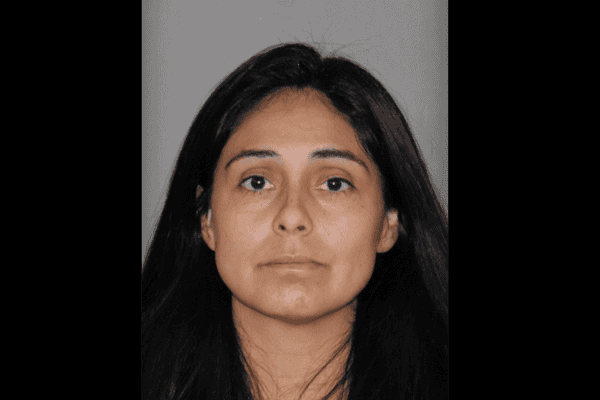 Texas mother accused of stabbing her 2 young children, husband was going through postpartum depression, husband says: Affidavit